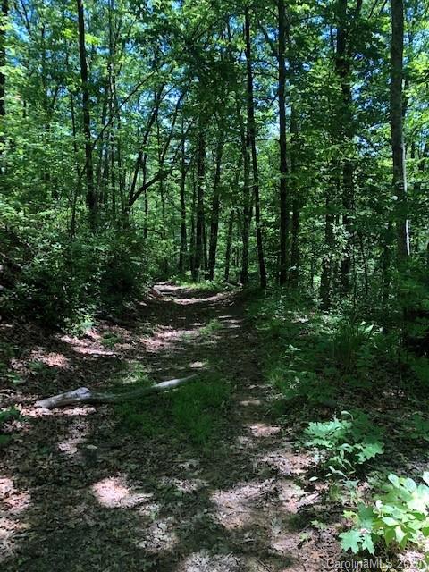Lot 4 Lower Flat Creek Road, Unit 4B Fairview, NC 28730 - Photo 2 of 34 a big yard with lots of green space