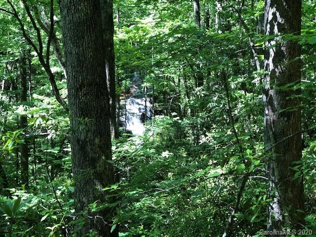 Lot 4 Lower Flat Creek Road, Unit 4B Fairview, NC 28730 - Photo 12 of 34 a view of a tree in a forest