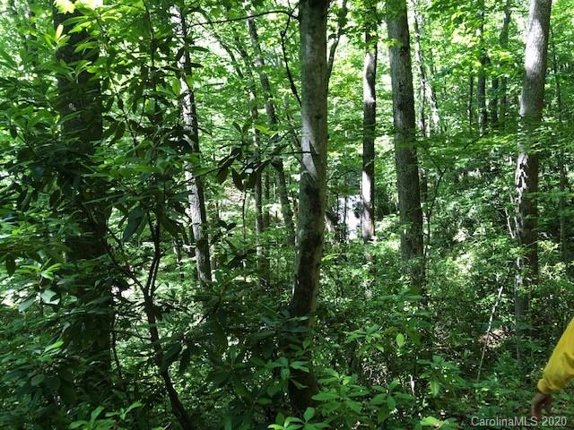 Lot 4 Lower Flat Creek Road, Unit 4B Fairview, NC 28730 - Photo 13 of 34 a view of a lush green forest