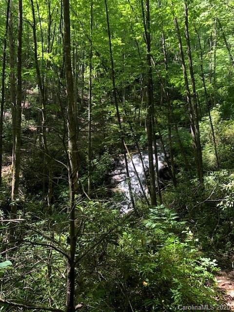 Lot 4 Lower Flat Creek Road, Unit 4B Fairview, NC 28730 - Photo 15 of 34 a view of forest
