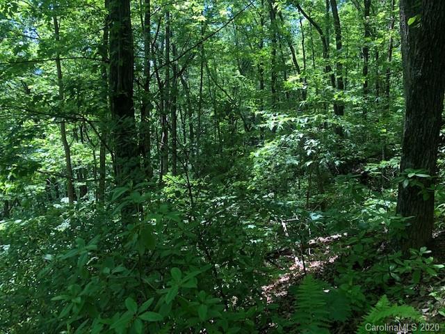 Lot 4 Lower Flat Creek Road, Unit 4B Fairview, NC 28730 - Photo 19 of 34 a view of a lush green forest