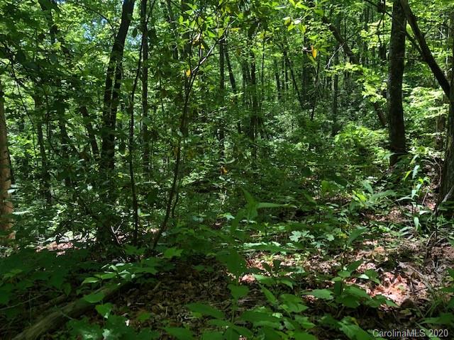 Lot 4 Lower Flat Creek Road, Unit 4B Fairview, NC 28730 - Photo 20 of 34 a view of a lush green forest