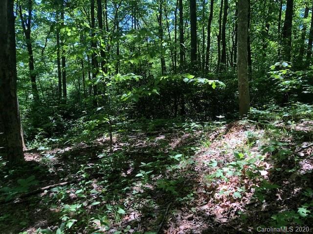 Lot 4 Lower Flat Creek Road, Unit 4B Fairview, NC 28730 - Photo 3 of 34 a view of a garden
