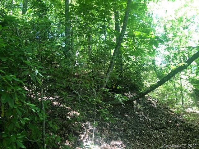 Lot 4 Lower Flat Creek Road, Unit 4B Fairview, NC 28730 - Photo 22 of 34 a view of a lush green forest