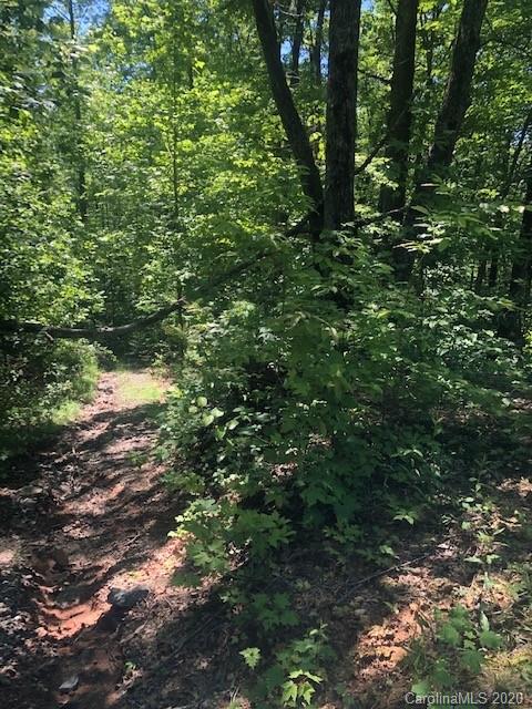 Lot 4 Lower Flat Creek Road, Unit 4B Fairview, NC 28730 - Photo 23 of 34 a view of a forest with lots of trees