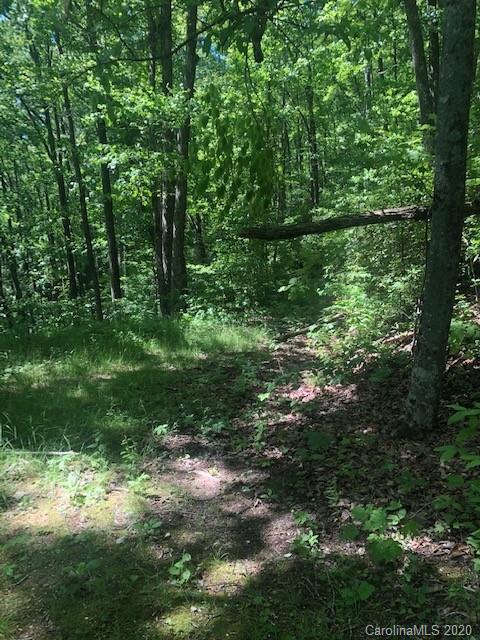 Lot 4 Lower Flat Creek Road, Unit 4B Fairview, NC 28730 - Photo 24 of 34 a view of a lush green forest