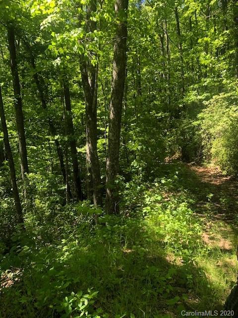 Lot 4 Lower Flat Creek Road, Unit 4B Fairview, NC 28730 - Photo 25 of 34 a view of a lush green forest