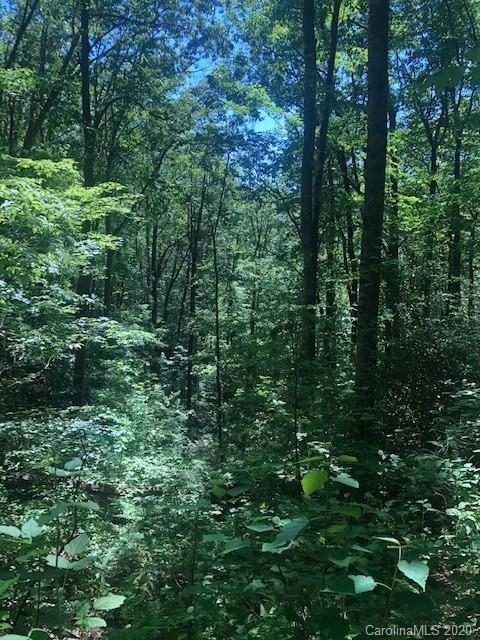 Lot 4 Lower Flat Creek Road, Unit 4B Fairview, NC 28730 - Photo 26 of 34 a view of a lush green forest