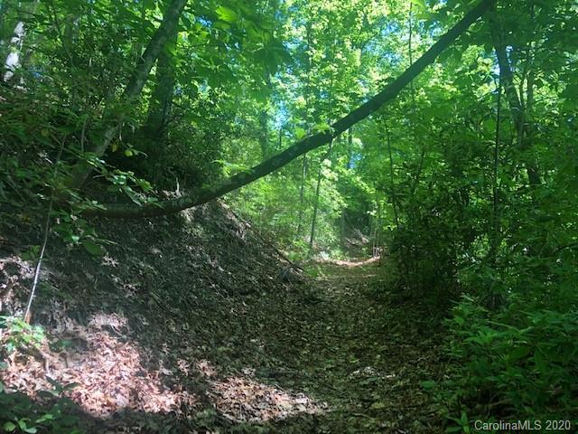 Lot 4 Lower Flat Creek Road, Unit 4B Fairview, NC 28730 - Photo 27 of 34 a view of a lush green forest