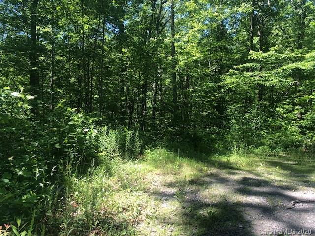 Lot 4 Lower Flat Creek Road, Unit 4B Fairview, NC 28730 - Photo 29 of 34 a view of outdoor space and a yard