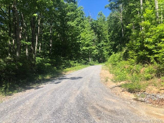 Lot 4 Lower Flat Creek Road, Unit 4B Fairview, NC 28730 - Photo 30 of 34 a view of a yard with plants and a trees