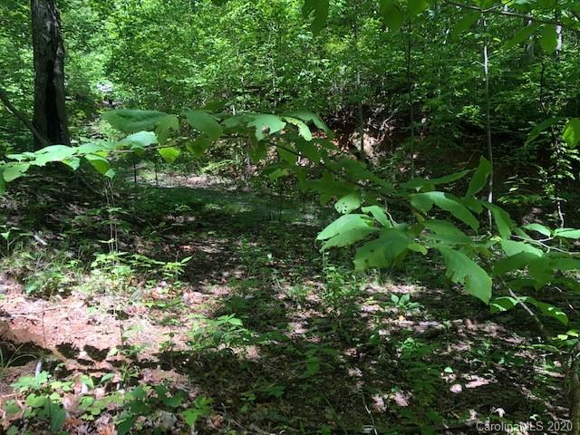 Lot 4 Lower Flat Creek Road, Unit 4B Fairview, NC 28730 - Photo 4 of 34 a backyard of a house with lots of plants and tree