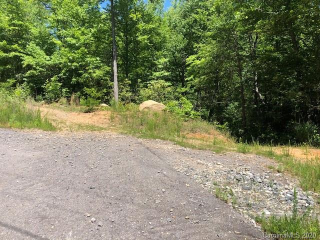 Lot 4 Lower Flat Creek Road, Unit 4B Fairview, NC 28730 - Photo 33 of 34 a view of a yard with plants and trees