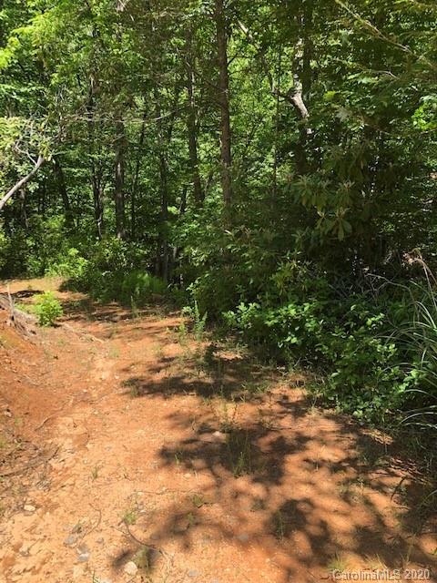 Lot 4 Lower Flat Creek Road, Unit 4B Fairview, NC 28730 - Photo 34 of 34 a view of backyard with green space
