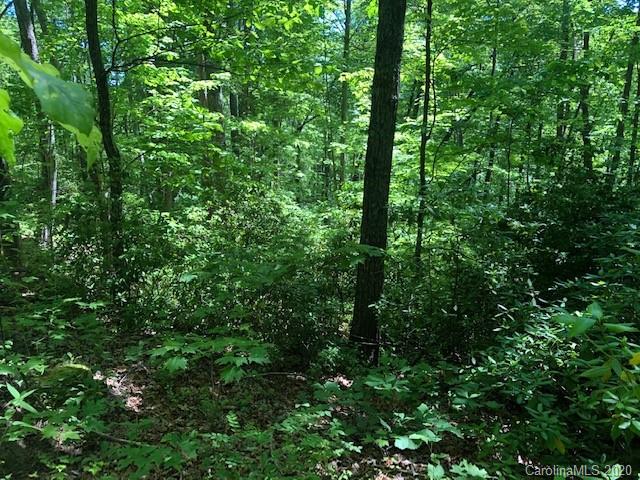 Lot 4 Lower Flat Creek Road, Unit 4B Fairview, NC 28730 - Photo 5 of 34 a view of a lush green forest