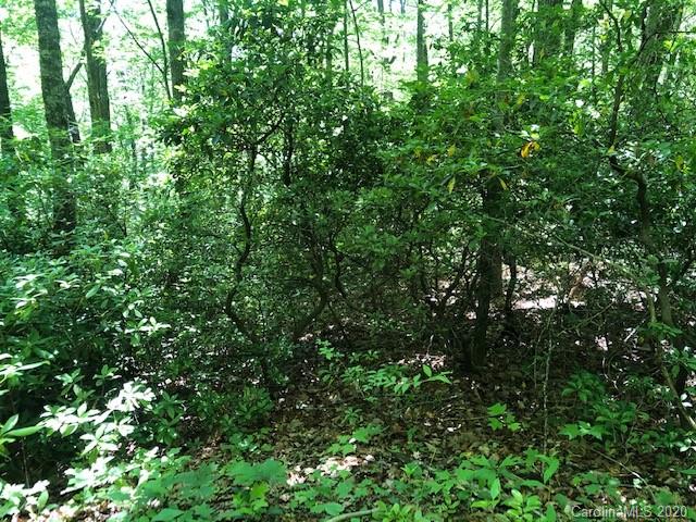 Lot 4 Lower Flat Creek Road, Unit 4B Fairview, NC 28730 - Photo 6 of 34 a view of a lush green forest