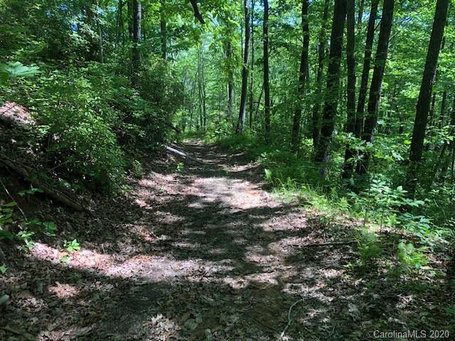 Lot 4 Lower Flat Creek Road, Unit 4B Fairview, NC 28730 - Photo 7 of 34 a backyard of a house with lots of green space
