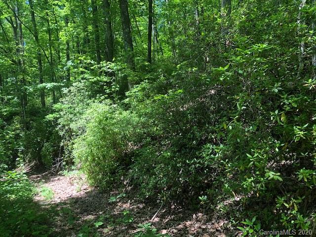 Lot 4 Lower Flat Creek Road, Unit 4B Fairview, NC 28730 - Photo 8 of 34 a view of a lush green forest