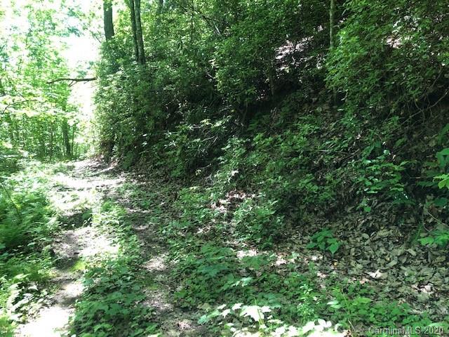 Lot 4 Lower Flat Creek Road, Unit 4B Fairview, NC 28730 - Photo 9 of 34 a view of a lush green forest