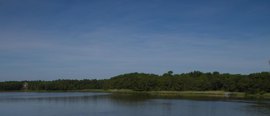 22 Bay Road Cotuit, MA 02635 - Photo 7 of 36 Lynch Panoramic Water View
