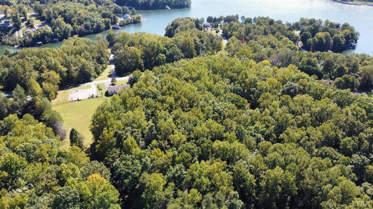 a view of a bunch of flowers and trees