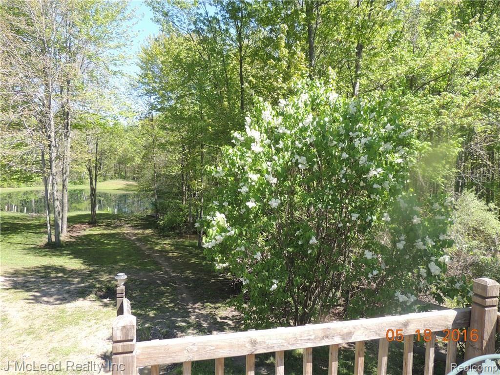 6356 Murphy Lake Road Millington, MI 48746 - Photo 31 of 41 DSCN1116.JPG