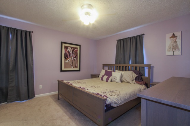 233 Bryant Road Pelzer, SC 29669 - Photo 17 of 24