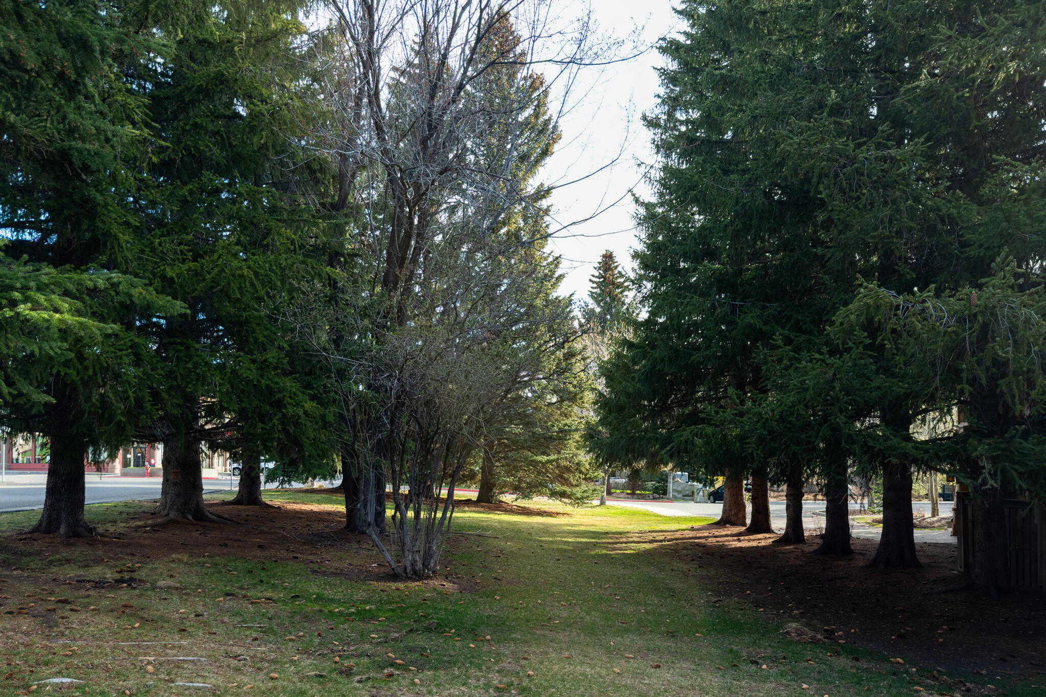 560 Second Street East Ketchum, ID 83340 - Photo 8 of 32 Lot view 2