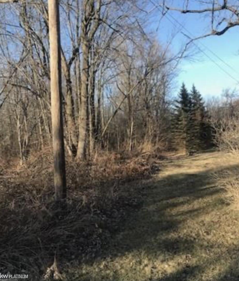 Vacant Swartout Road Algonac, MI 48001 - Photo 2 of 5