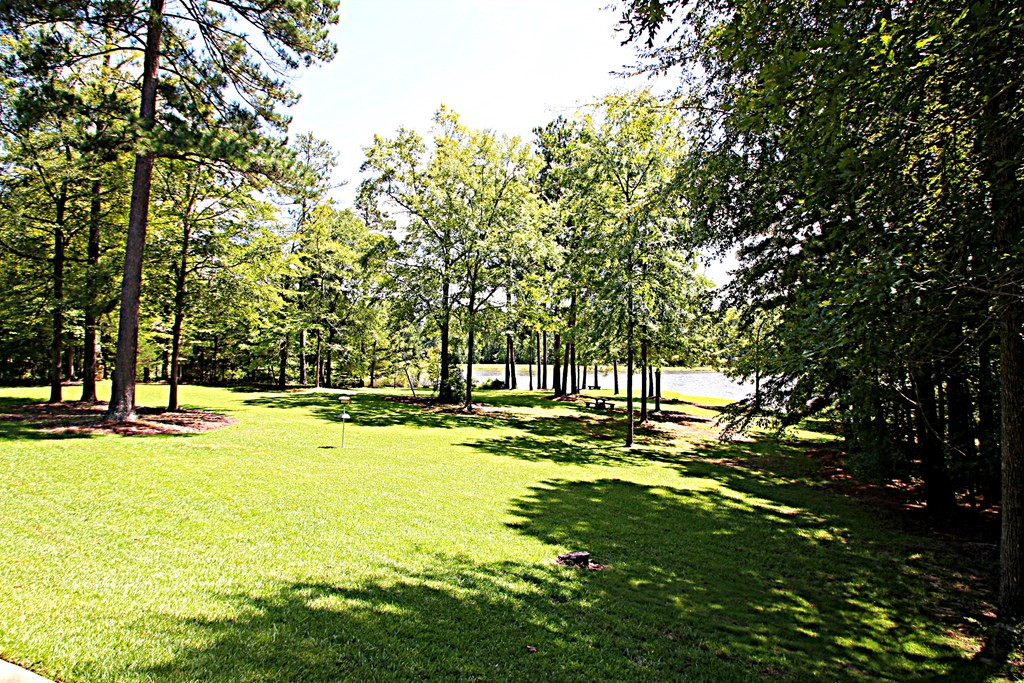 6512 Reservoir Road Appling, GA 30802 - Photo 3 of 12
