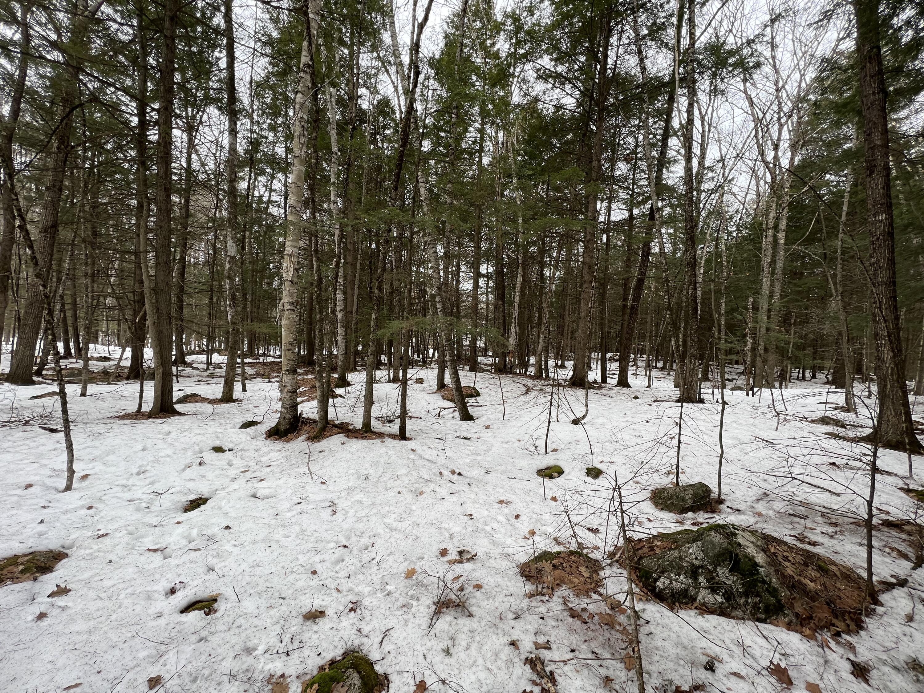 0 King Hill Road Limerick, ME 04048 - Photo 8 of 8 8