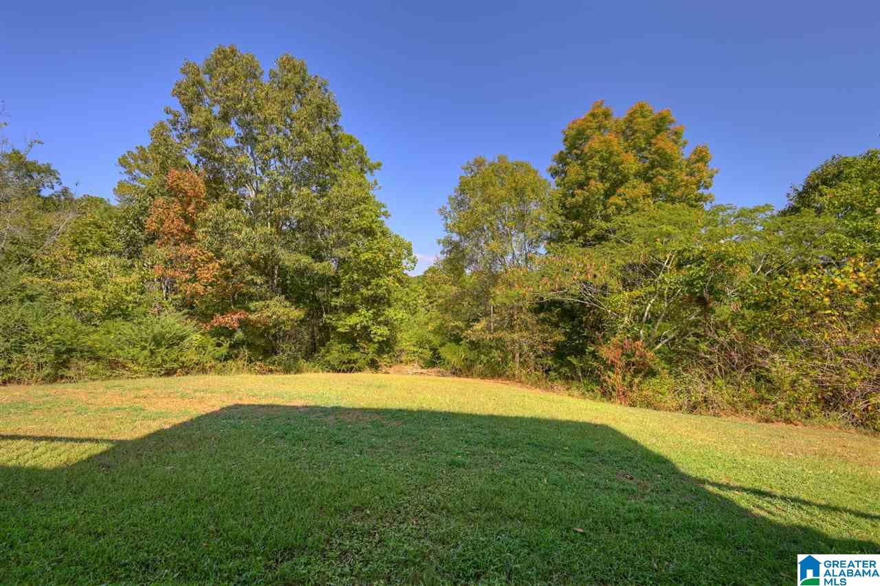 39 Indian Bow Road Warrior, AL 35180 - Photo 22 of 38