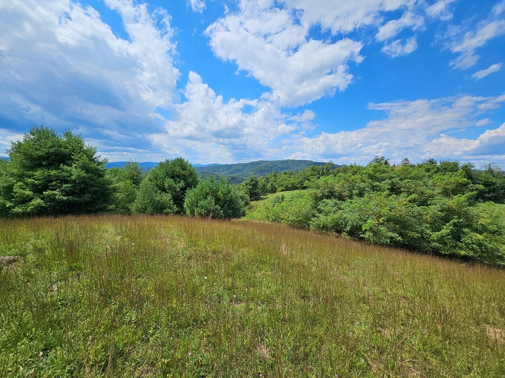 1072 Briar Patch Mountain Road, Unit 3 Fries, VA 24330 - Photo 15 of 25 Gallery Image 15