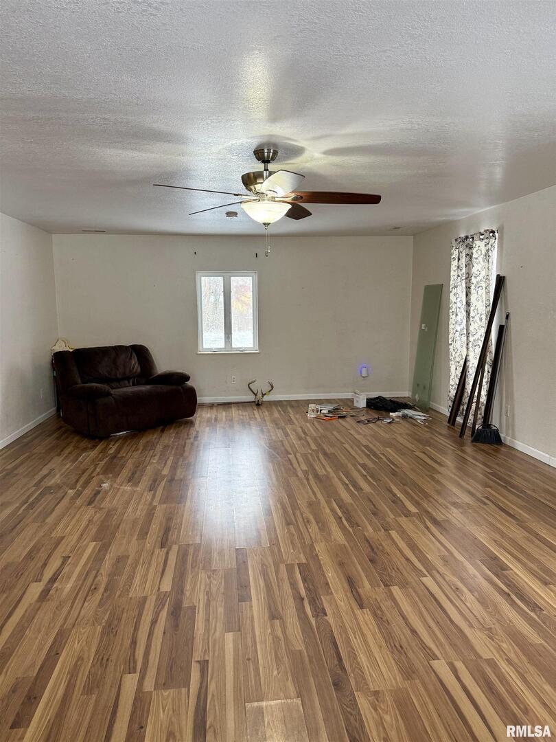 2407 Selmaville Road Salem, IL 62881 - Photo 5 of 19