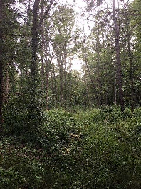 7706 Pingree Road Pinckney, MI 48169 - Photo 11 of 31 Photo 11