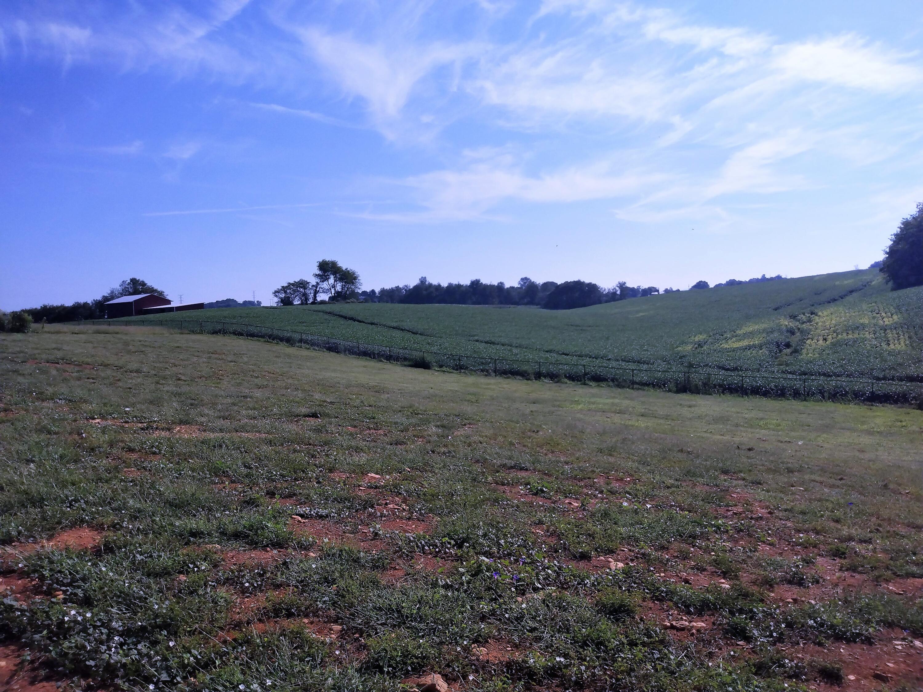 1830 Earnest Road Chuckey, TN 37641 - Photo 13 of 44 1830 Earnest Rd
