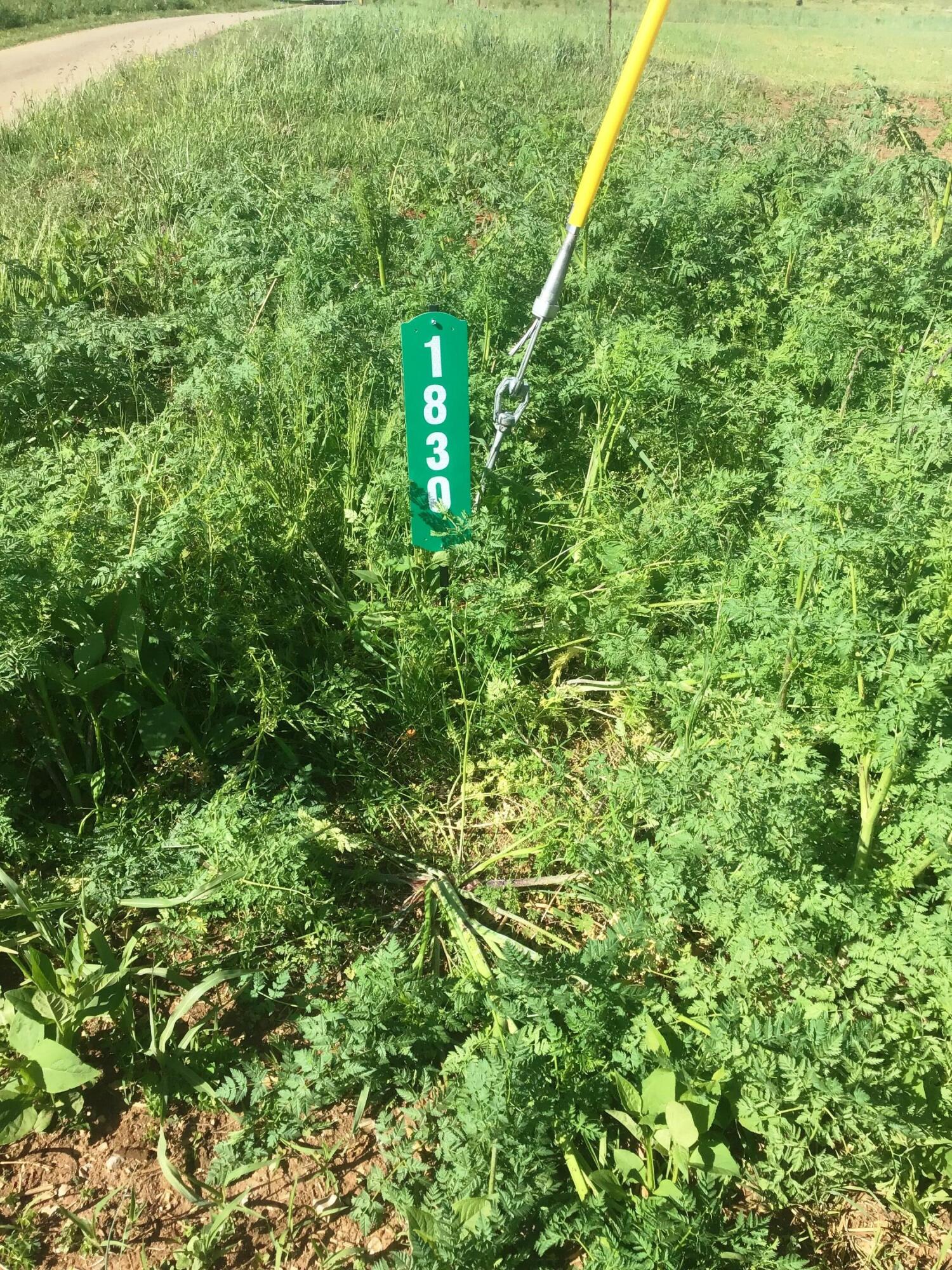 1830 Earnest Road Chuckey, TN 37641 - Photo 6 of 44 1830 Earnest Rd