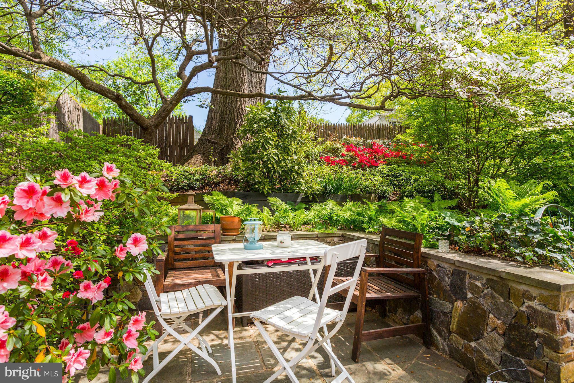 5011 Rodman Road Bethesda, MD 20816 - Photo 23 of 25 a patio with table and chairs and potted plants