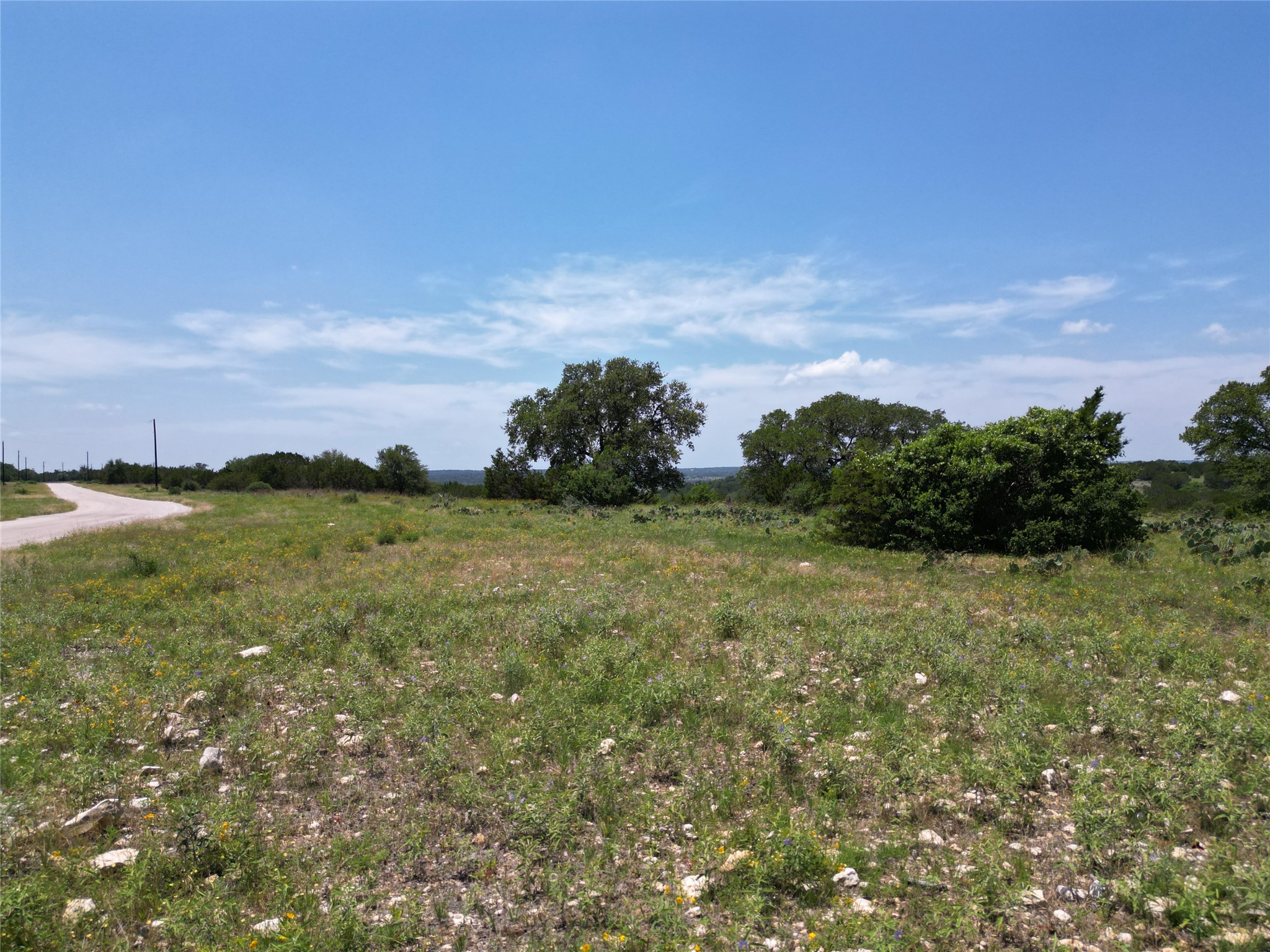 a view of a field with an ocean