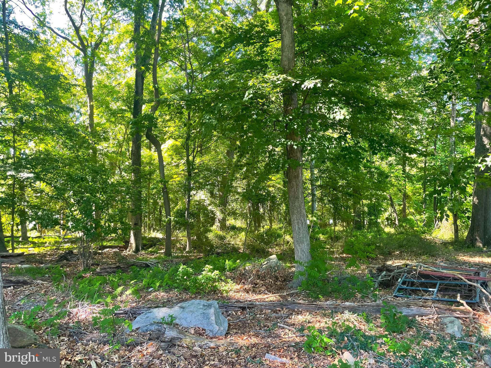 1453 Makefield Road Yardley, PA 19067 - Photo 41 of 46 Wooded Privacy