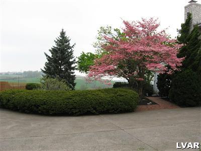 662 Spring Hill Road Northampton, PA 18067 - Photo 16 of 17 Dogwood in Bloom