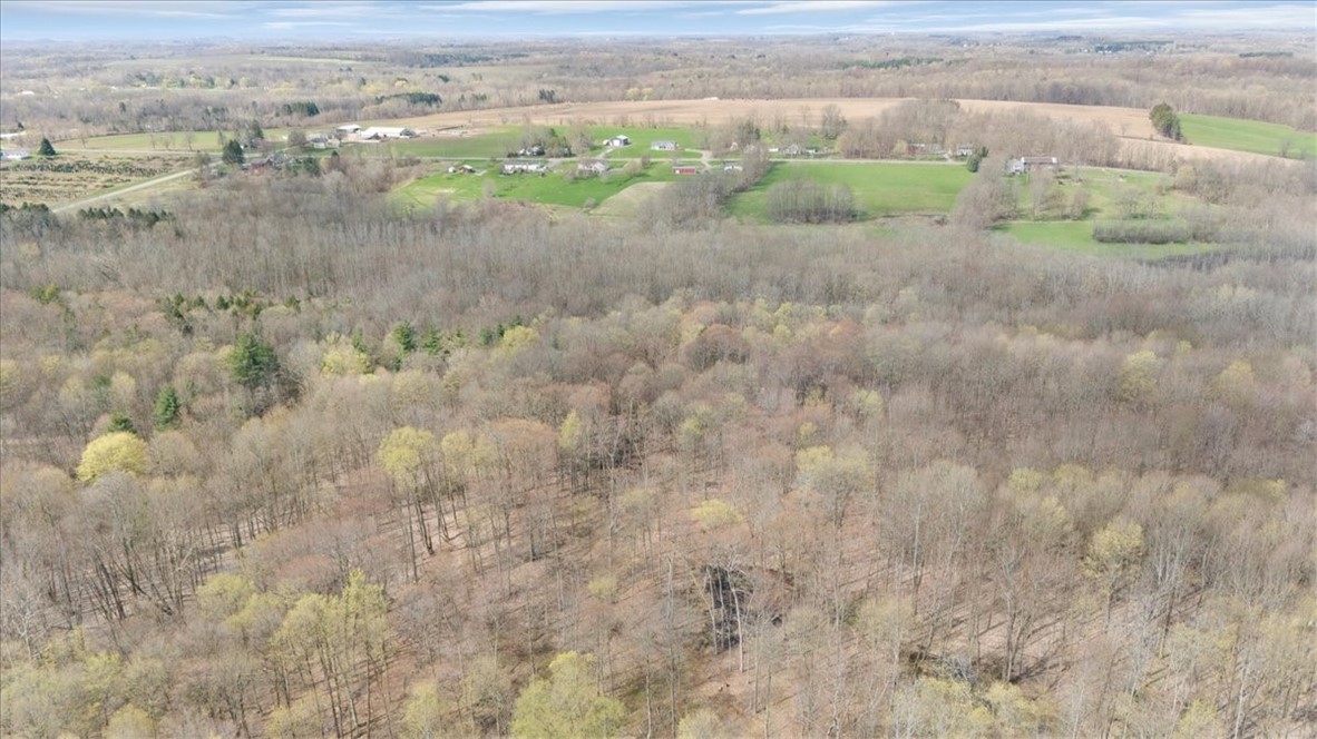 3633 Warner Road Marion, NY 14505 - Photo 9 of 34