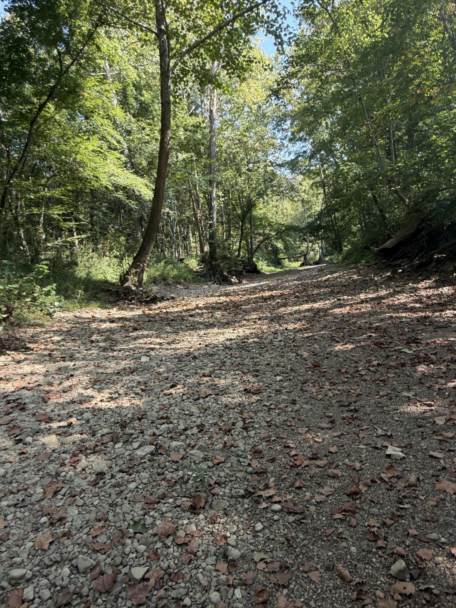 0 Phillips Hollow Road Monticello, KY 42633 - Photo 20 of 21 IMG_0611
