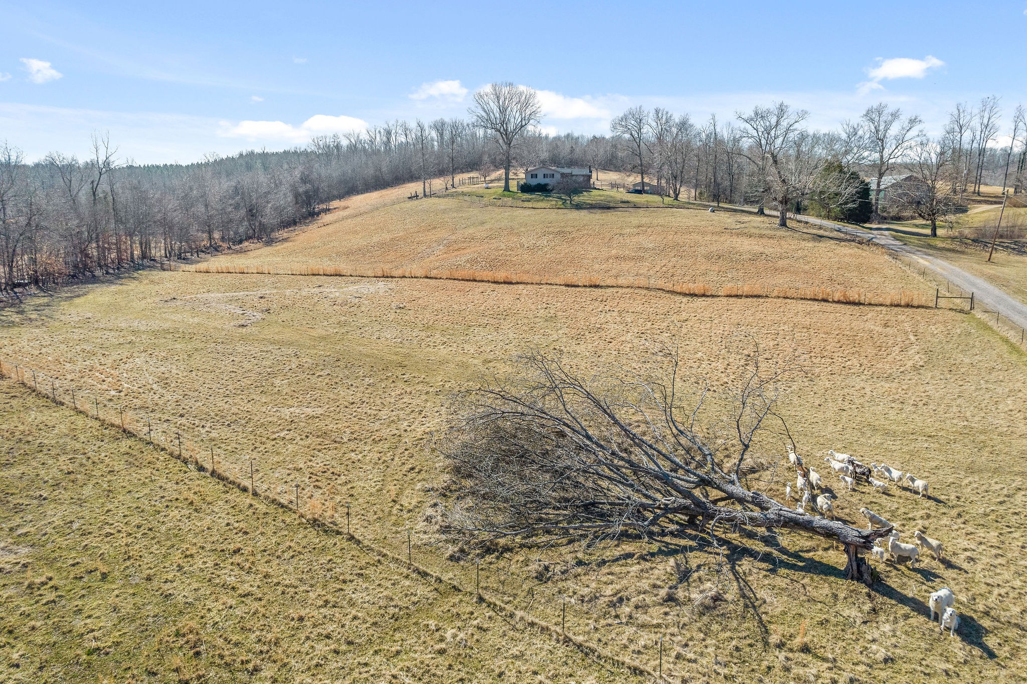 165 Crisp Road Stewart, TN 37175 - Photo 4 of 30 Gallery Image 4