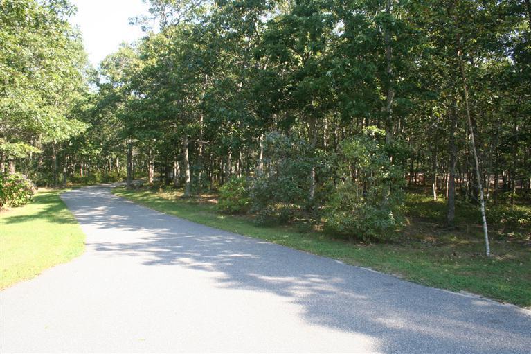60 Slough Road Brewster, MA 02631 - Photo 22 of 22 a view of a yard with a trees