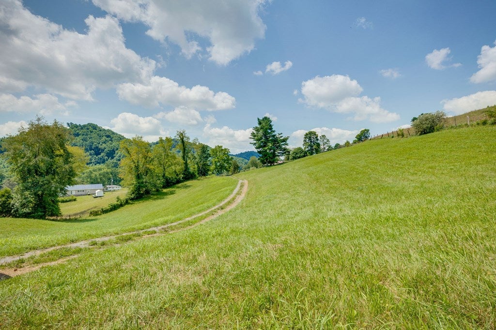 Tbd Call Valley Road Swords Creek, VA 24649 - Photo 19 of 31 Gallery Image 19