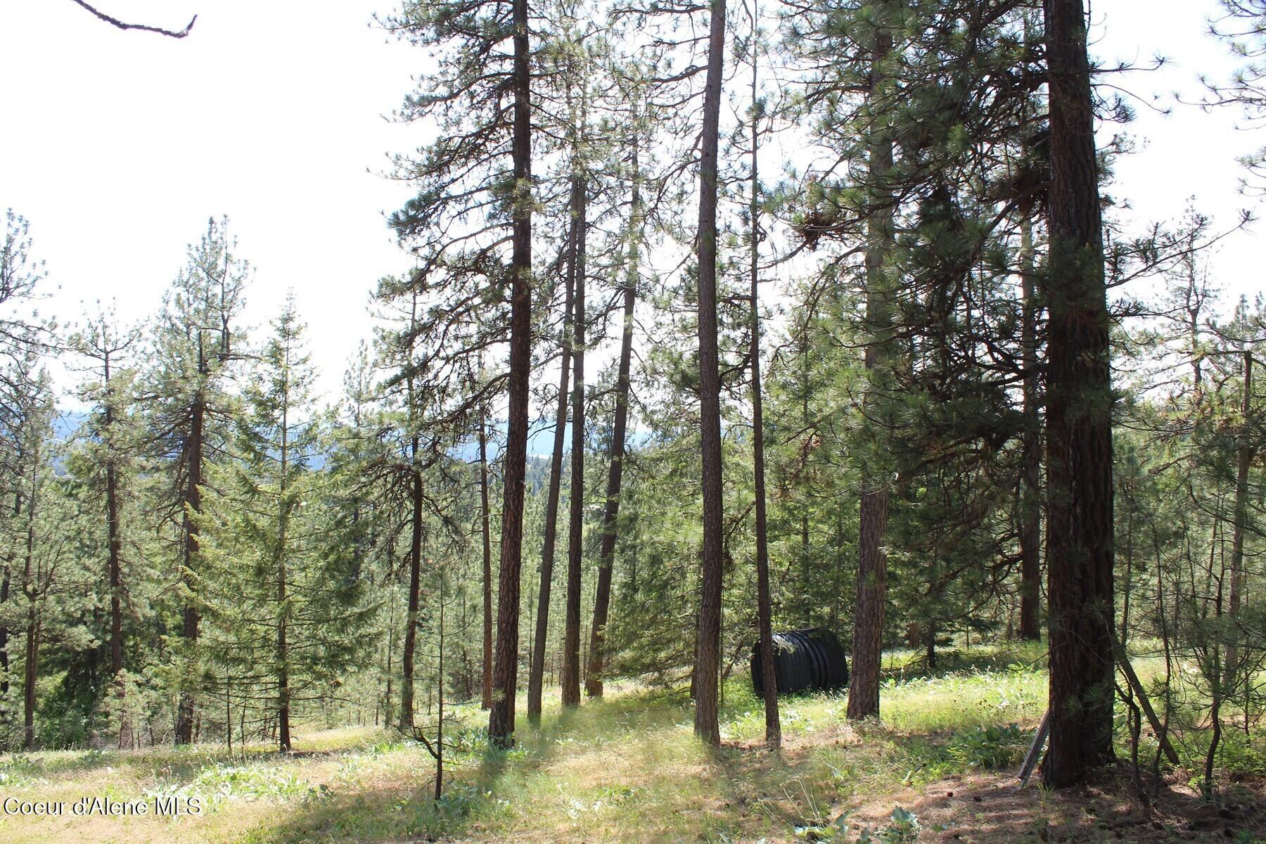 881-2714 South Allen Road Coeur D'Alene, ID 83814 - Photo 52 of 54 IMG_7363