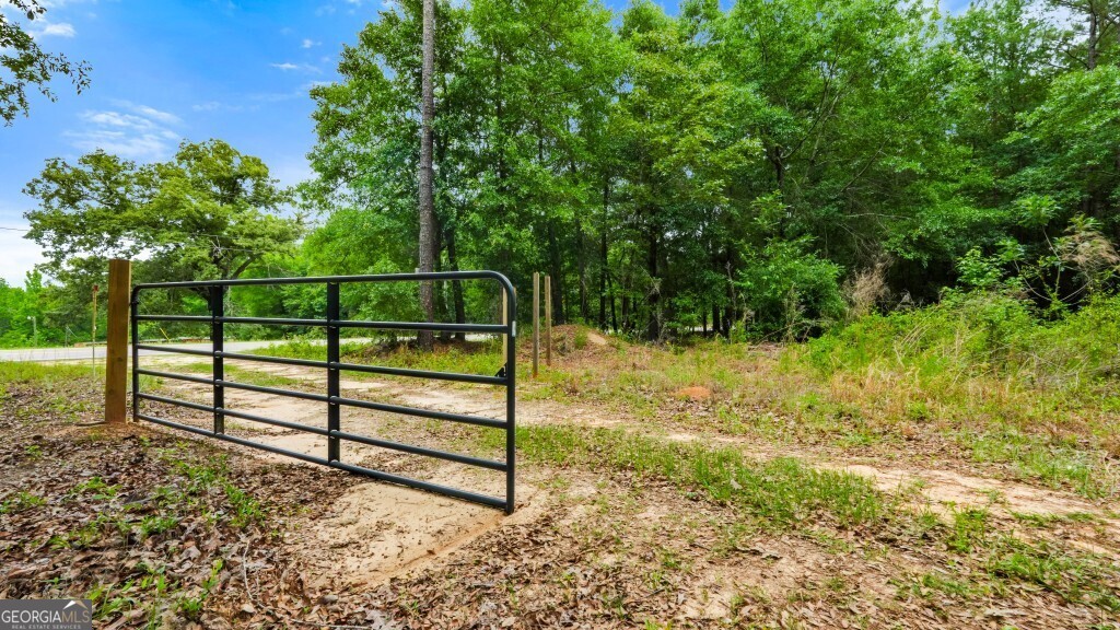 0 River Road Waynesboro, GA 30830 - Photo 25 of 37