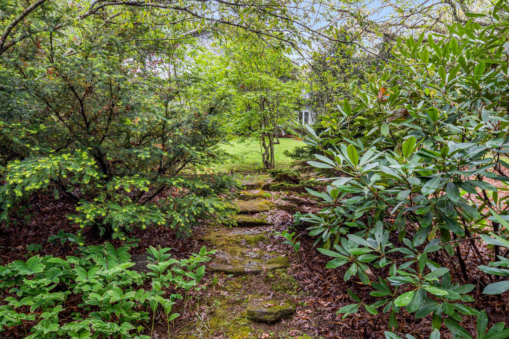 476 Winfield Farm Road Scaly Mountain, NC 28775 - Photo 55 of 65 Gallery Image 55