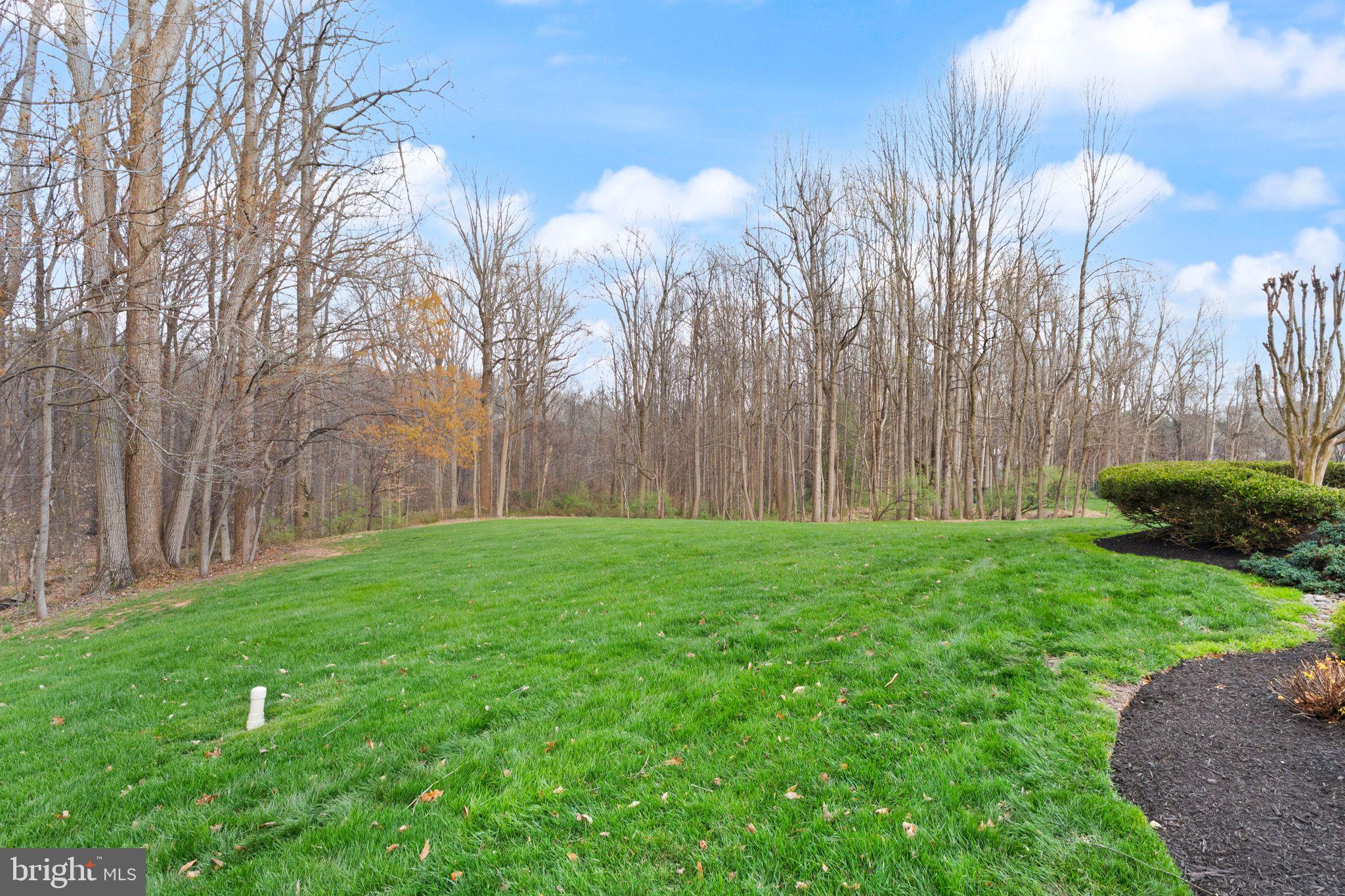 12300 Castle Branch Road Fairfax, VA 22030 - Photo 76 of 87